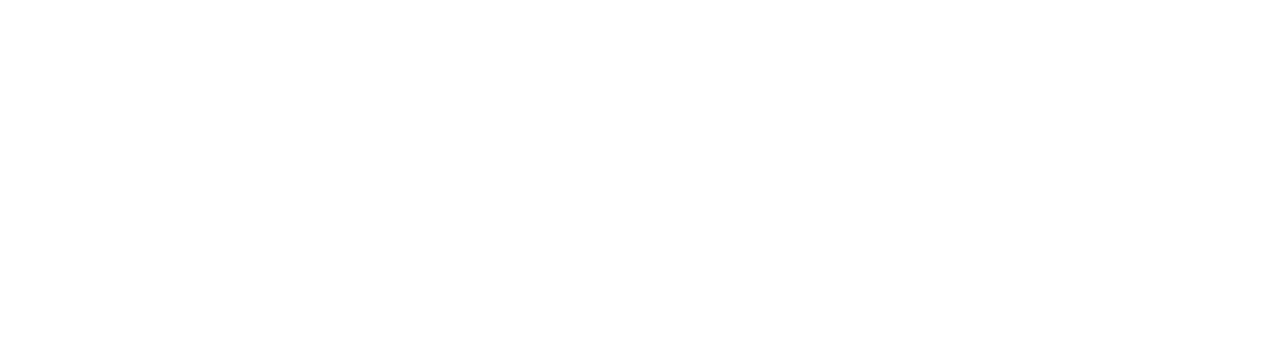 Grupo Singular